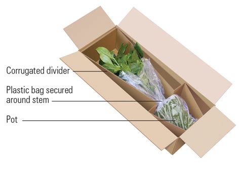 how to ship plants by mail.